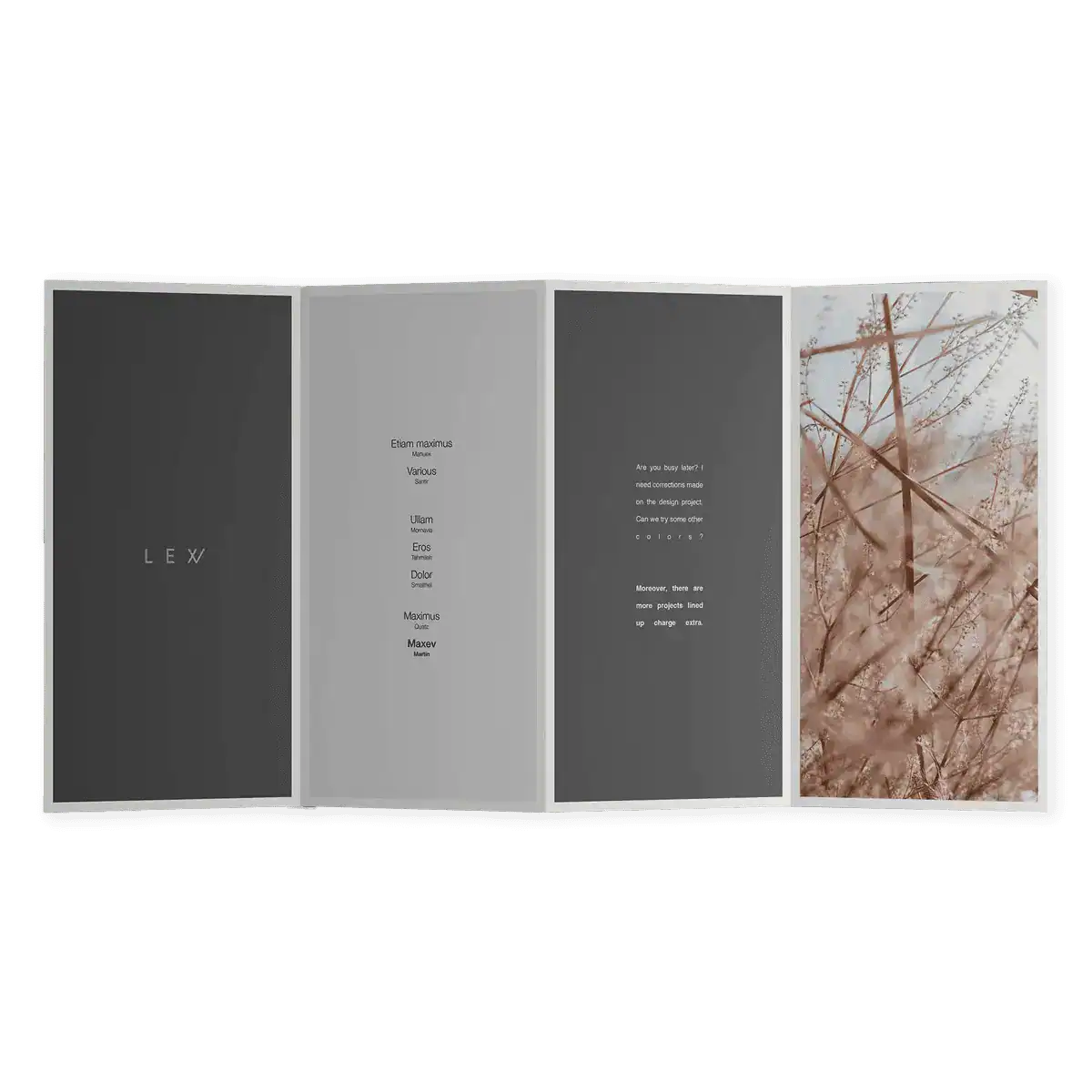 Accordion Fold Brochure PRinting