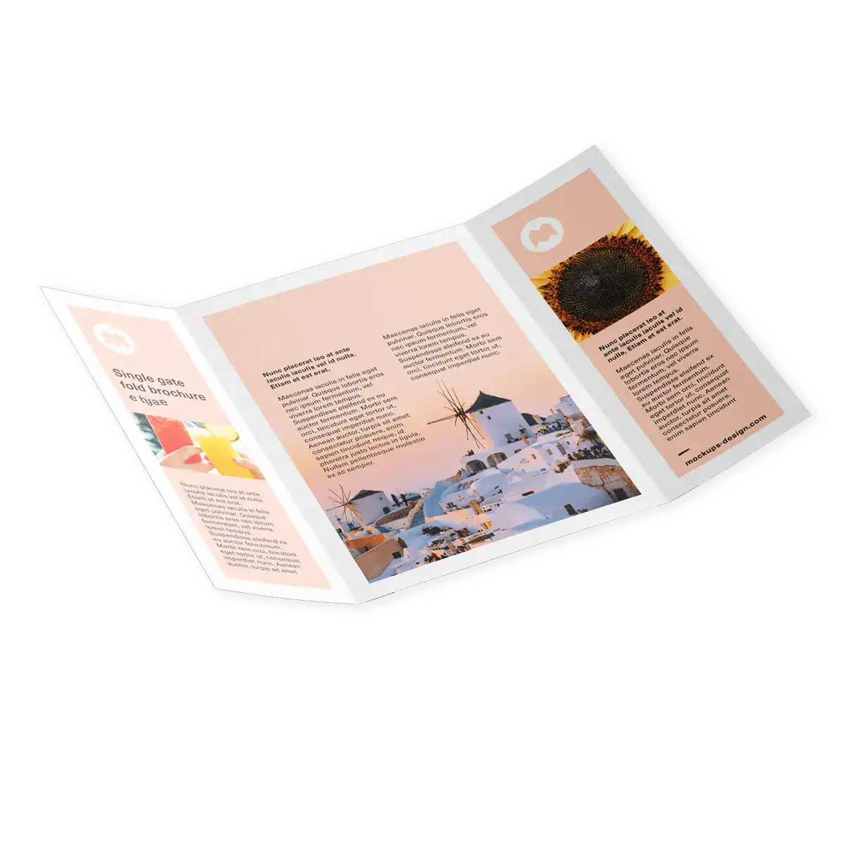 Double Gate Fold Brochure Printing
