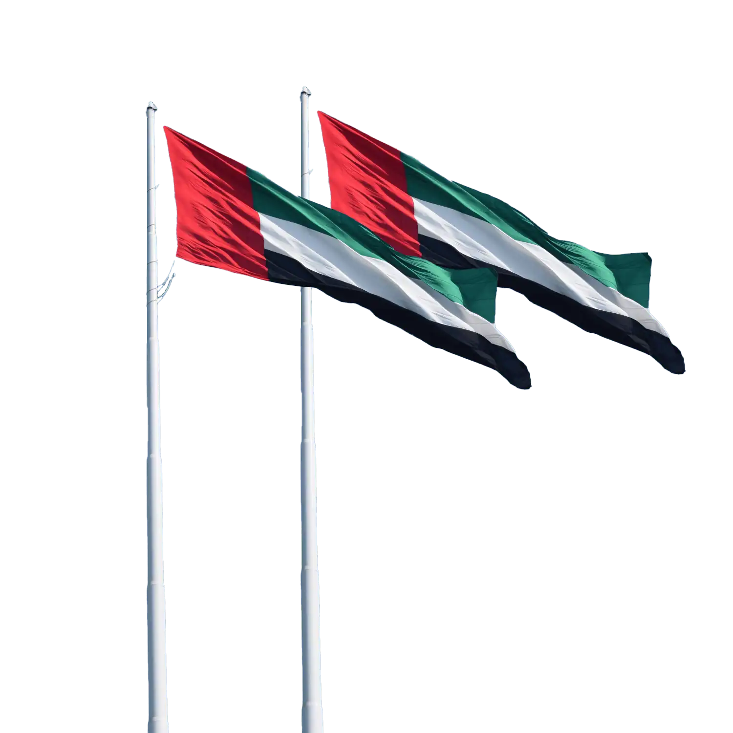 8m Pole Flags PRinting