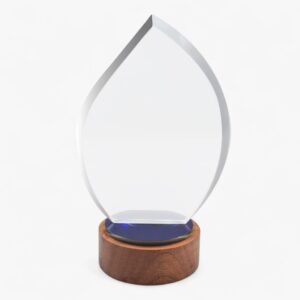 Elegant flame crystal trophy with wooden base designed for corporate awards recognition events and premium appreciation gifting UAE.