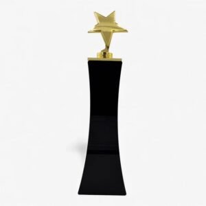 Gold star award trophy for corporate awards recognition events employee appreciation and premium gifting across UAE offices.