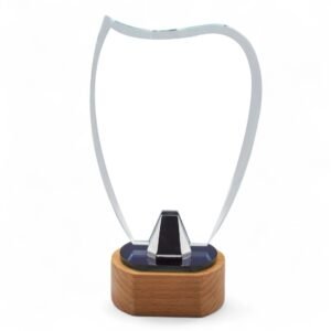Customized crystal trophy with wooden base for corporate awards recognition events appreciation gifts across UAE market wide use.