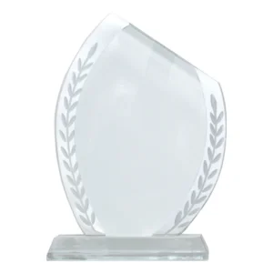 Sublimation crystal trophy designed for corporate awards recognition events appreciation gifts and personalized branding across UAE.