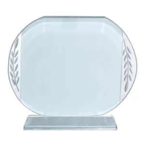 Modern sublimation crystal award designed for corporate awards recognition events appreciation gifts and customized branding UAE.