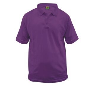 Premium dry and cool Tshirt in purple designed for corporate uniforms branding promotions sports events across UAE.