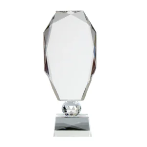 Crystal winner trophy designed for corporate awards recognition events appreciation gifts and premium presentations across UAE.