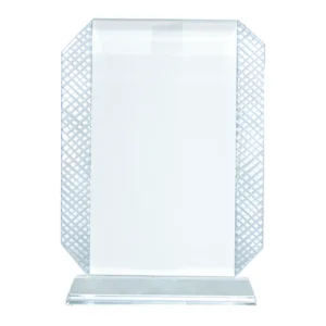 Sublimation crystal trophy designed for corporate awards recognition events appreciation gifts and personalized branding across UAE.