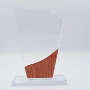 Crystal wave award with wood accent base designed for corporate awards recognition events employee appreciation and premium gifting UAE.