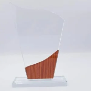 Crystal wave award with wood accent base designed for corporate awards recognition events employee appreciation and premium gifting UAE.